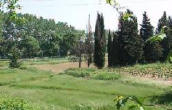 Holiday houses and vacation rentals in Provence and Languedoc, many villas with pools, southern France