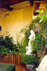Holiday houses and vacation rentals in Provence and Languedoc, many villas with pools, southern France
