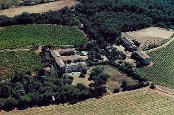 Holiday houses and vacation rentals in Provence and Languedoc, many villas with pools, southern France