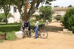 Holiday houses and vacation rentals in Provence and Languedoc, many villas with pools, southern France