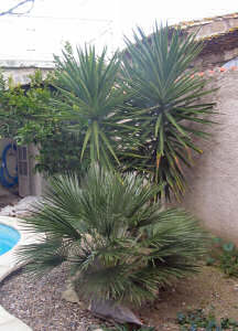 Holiday houses and vacation rentals in Provence and Languedoc, many villas with pools, southern France