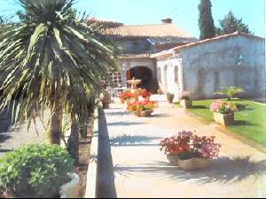Holiday houses and vacation rentals in Provence and Languedoc, many villas with pools, southern France